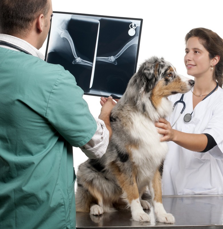 X-rays